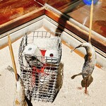 和　ともり - 非日常的を目の前に