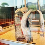 和　ともり - じっくり場所を変えながら