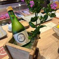 寿司 はせ川 心斎橋本店 - 