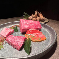 USHIGORO S. SHINJUKU - 