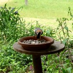 くつきそば 永昌庵 - 