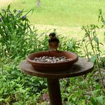 くつきそば 永昌庵 - 