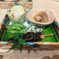 うなぎ 目白ぞろ芽 - 
