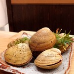 一本杉 川嶋 - 能登プレミアムとり貝