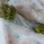 松原農園 - ワラビー