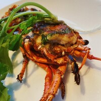 THE COSMOPOLITAN GRILL BAR TERRACE - 