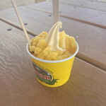 Dole Plantation - 