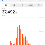 デザートカフェ ハチドリ - 今日の総歩数