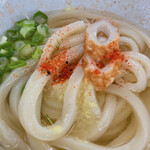 根ッ子うどん - 七味フリフリ