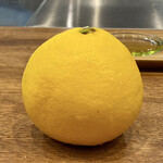 Sare - 시코쿠산 코나츠
                      지금이 제철인 감귤입니다♪