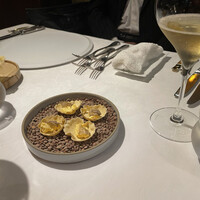 ヴォーロ・コズィ - 