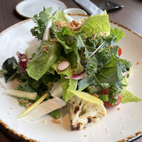 JAM17 DINING - 2人で取り分けるスタイルのグリーンサラダ