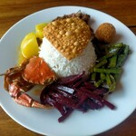 The 69 Sri Lankan Restaurant - 料理写真:本日のスペシャル  スリランカプレート1320円  ドリンク付き(マンゴージュース)  カニカレー←身はほぼないのでエキスだけ堪能(笑)