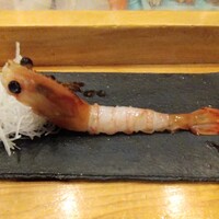 鮨処 竜敏 - ぼたん海老