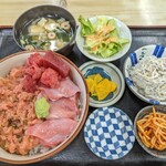 竹家食堂 - 【2023/5】二色丼＋しらすおろし