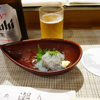 潮り - 