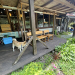 気まぐれけーじのそば屋 - 