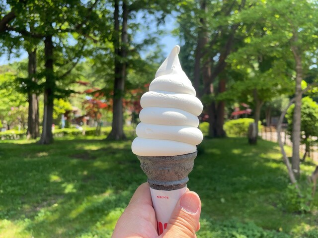 Museum Shop MARUYAMA （ミュージアム・ショップ・円山） - 円山公園