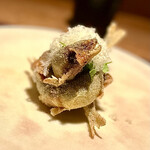 アカ - ❹稚鮎 ～稚鮎をパスタに使うセモリナ粉でフリットにしたもの。踊るようにフリットされた稚鮎はマンチェゴチーズをかけて。揚げた稚鮎はビジュアルも味わいも秀逸で、マンチェゴチーズと良く合っている。