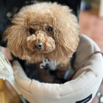 PARKER COFFEE STAND - ご機嫌なシェリ♪