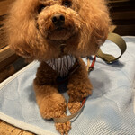 THE NUTS EXCHANGE - ご機嫌なシェリ