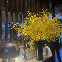 マーサーブランチ テラスハウス - 