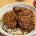 志多美屋 - 細かく、熱乾燥したパン粉で揚げられたカツ。さらっとしたソースはガス釜で炊かれたごはんの底部まで浸透。