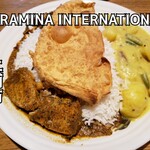 SURAMINA INTERNATIONAL - 