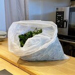 パルコ フィエラ - 