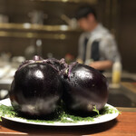 スガラボヴィー - 