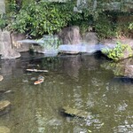 ウェスティンホテル大阪 - 