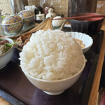Hakata Motsunabe Yamaya - お替わりご飯は「ドーンとお願いします」で漫画盛り