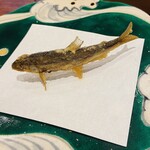 旬彩天 つちや - 