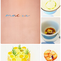 macua - 