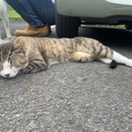 おかし工房Botan - 