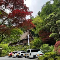 うかい鳥山 - 