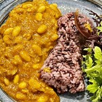 渡辺料理店 - 7皿め：本日のさきたま古墳古代米カレーたじまっです