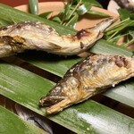 Toraya Kochuan - ご主人の釣り鮎、噛むと旨味がしっかり伝わる焼き加減がたまりません