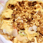 Futabatei - 肉ゴロゴロオムライス 和風あんかけ