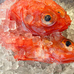 吉祥寺 わるつ - 