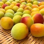 吉祥寺 わるつ - 