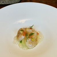 TRATTORIA CREATTA - 