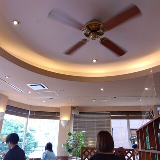 マイアミガーデン_2