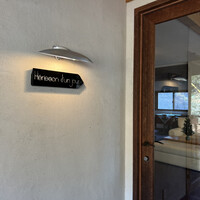 Hérisson d'un jour - 