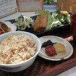 organic cafe ごぱん - 日替わり玄米ランチ