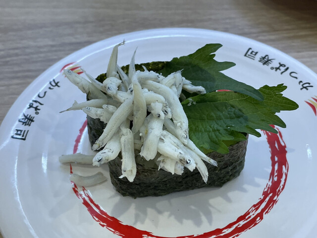 かっぱ寿司 船引店 - 船引（寿司）の写真
