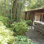 竹林が涼しげ♪