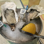 Oyster Bar ジャックポット - 