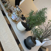 ベージュ アラン・デュカス 東京 - 