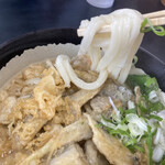 Temmori Udon - 